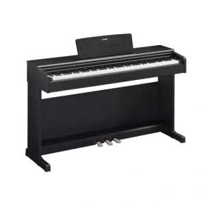 Đàn Piano Yamaha YDP-145