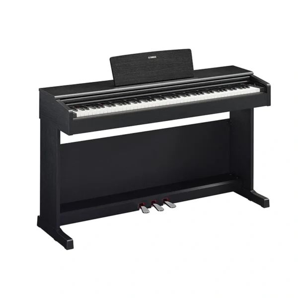 Đàn Piano Yamaha YDP-145