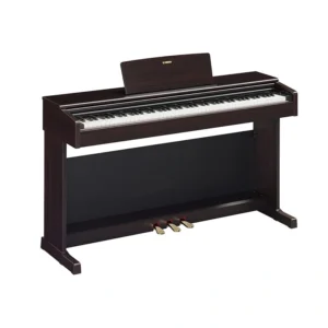 Đàn Piano Yamaha YDP-145